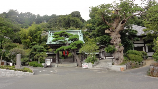 長谷寺山門（この寺には大きな十一面観音があり、奈良の長谷寺と関連があるようです。）