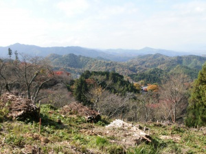P1010022