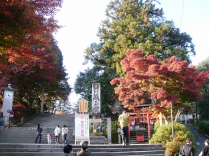 P1010027