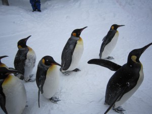 IMG_0027