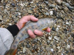 IMG_3512