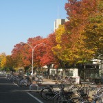 構内の紅葉