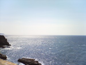 DSC01282